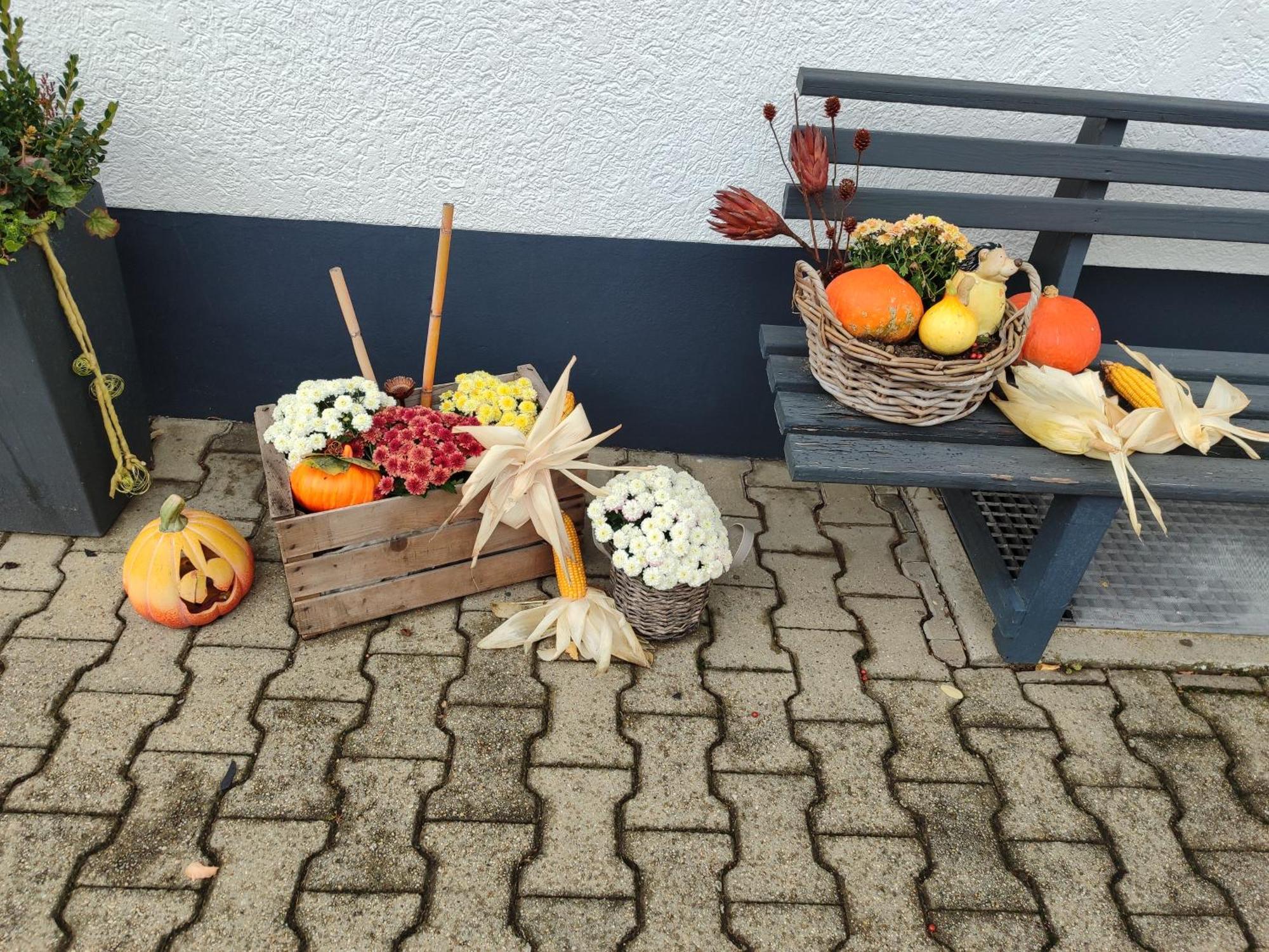 Ferienwohnung "Zur Alten Schreinerei" Gundelfingen - Donau Gundelfingen an der Donau Buitenkant foto